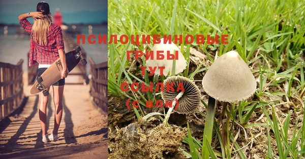 герыч Алексеевка